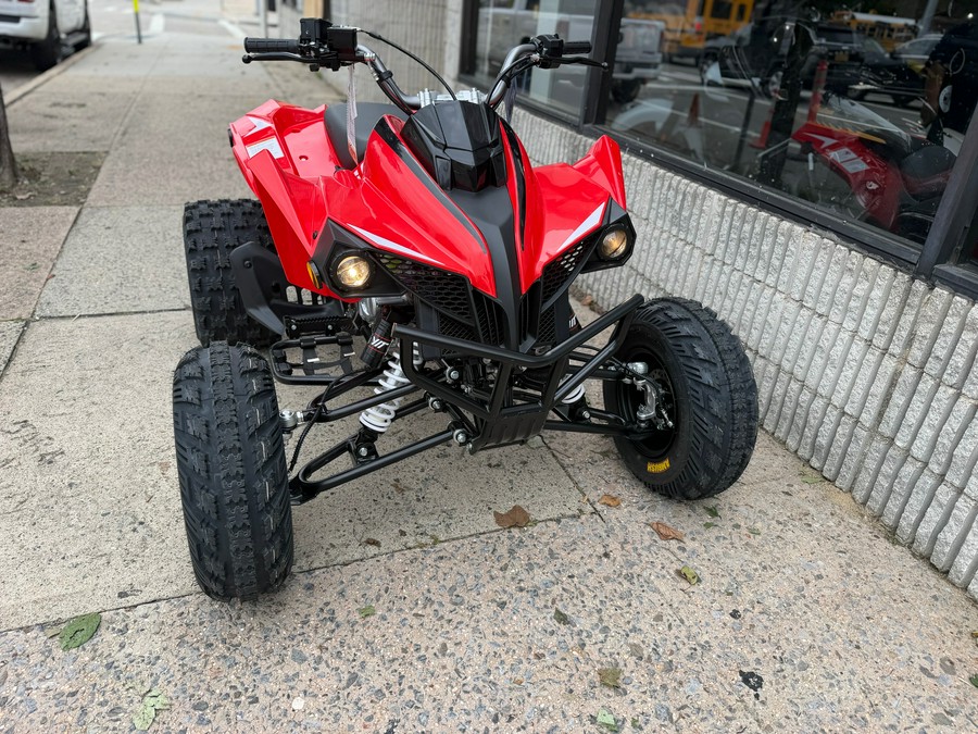 2027 Kayo Storm 300 EFI