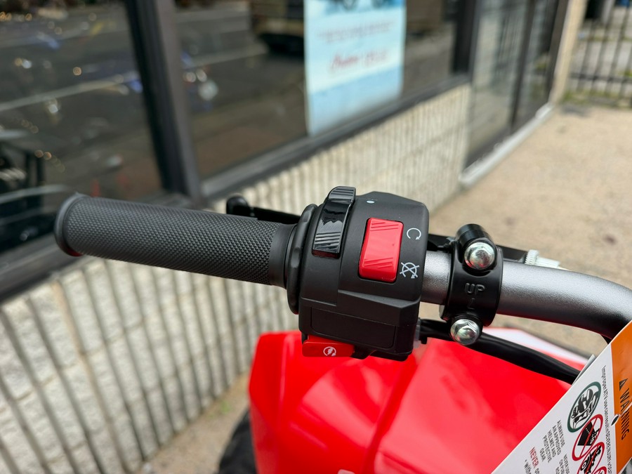 2027 Kayo Storm 300 EFI