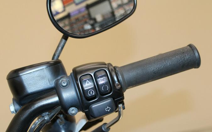 Used 2021 Harley-Davidson Iron 883 Cruiser XL 883N Motorcycle For Sale In Miami, Florida