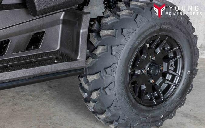 2025 Honda Pioneer 700-4 Deluxe