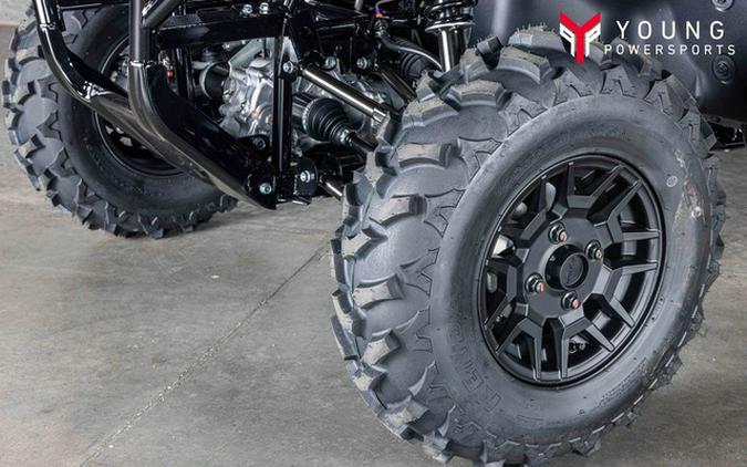 2025 Honda Pioneer 700-4 Deluxe