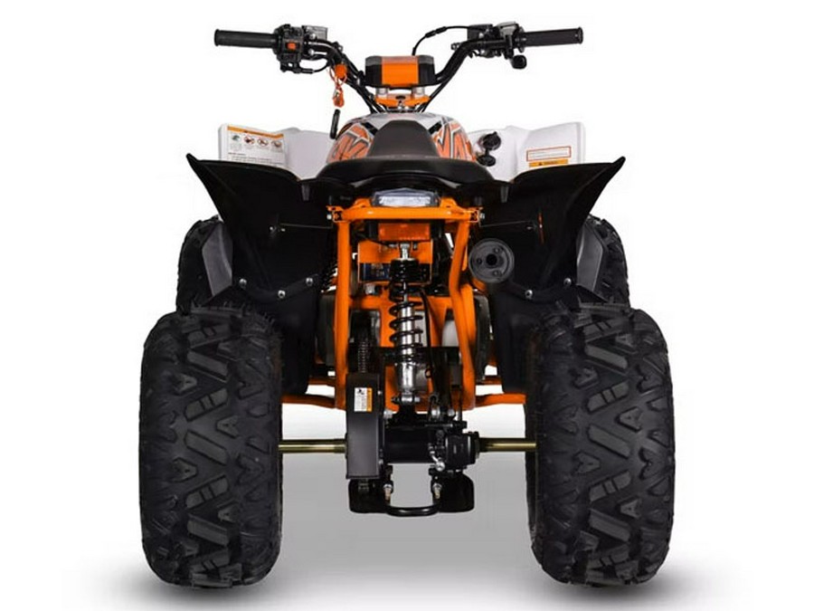 2026 Kayo Predator 110
