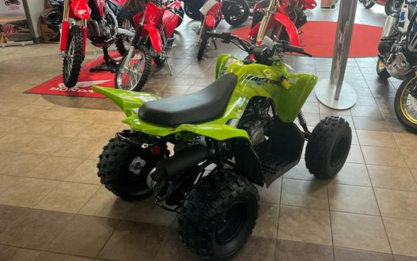 2026 Yamaha Raptor 110