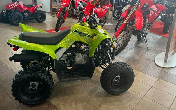 2026 Yamaha Raptor 110