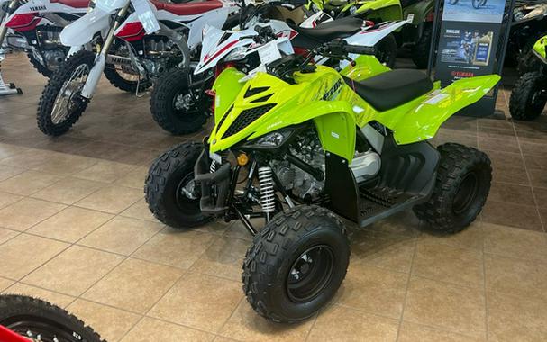2026 Yamaha Raptor 110