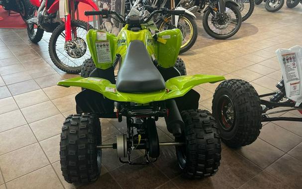 2026 Yamaha Raptor 110