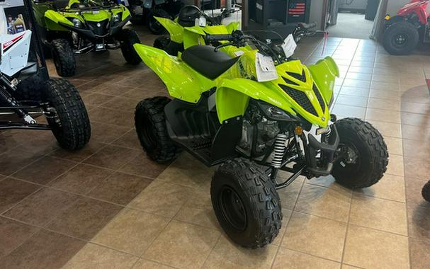 2026 Yamaha Raptor 110