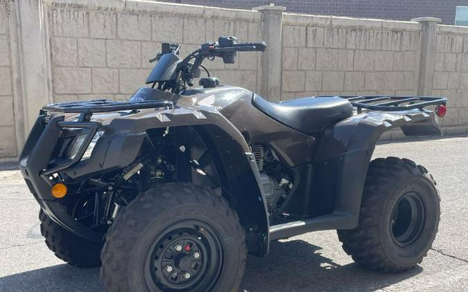 2022 Honda FourTrax Recon