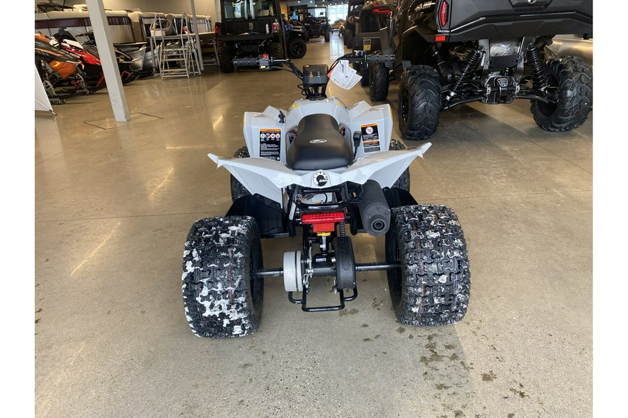 2024 Can-Am Renegade 110 EFI