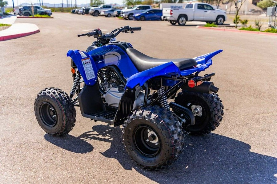 2025 Yamaha Raptor 110