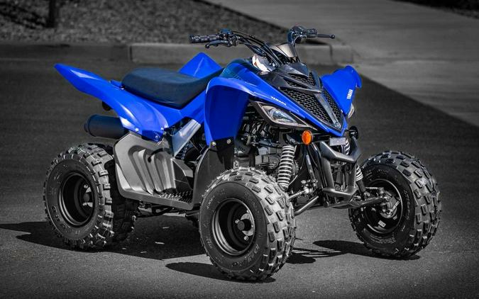 2025 Yamaha Raptor 110