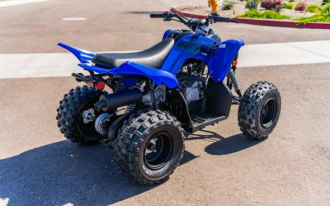 2025 Yamaha Raptor 110