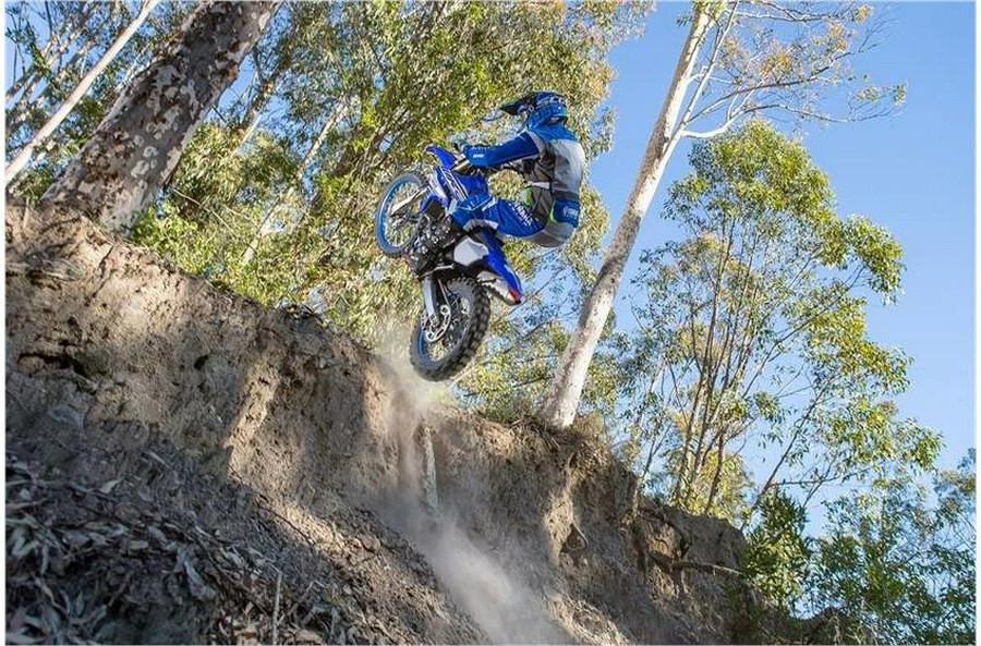 2019 Yamaha WR450F