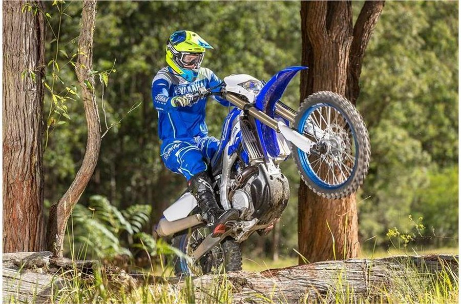 2019 Yamaha WR450F