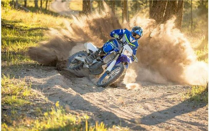 2019 Yamaha WR450F