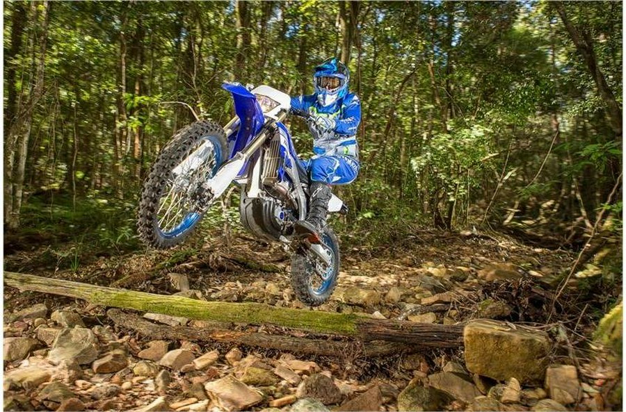 2019 Yamaha WR450F