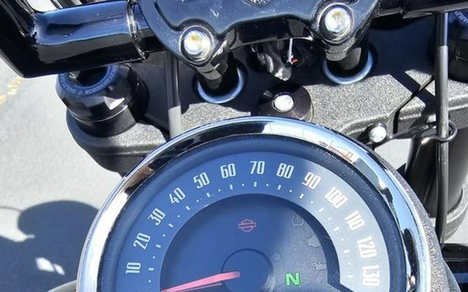 2021 Harley-Davidson® FXLRS - Low Rider® S