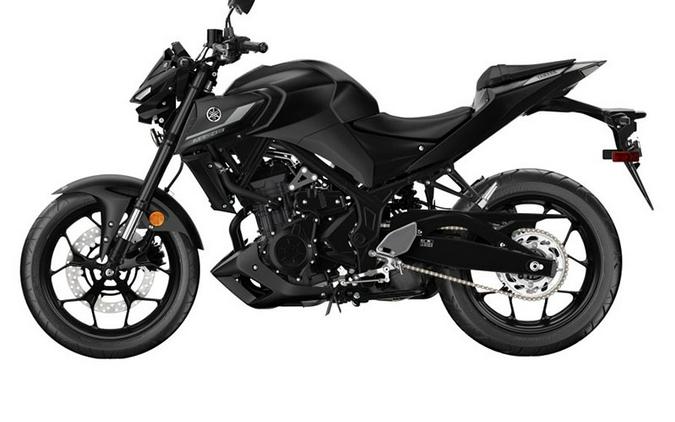 2024 Yamaha MT-03