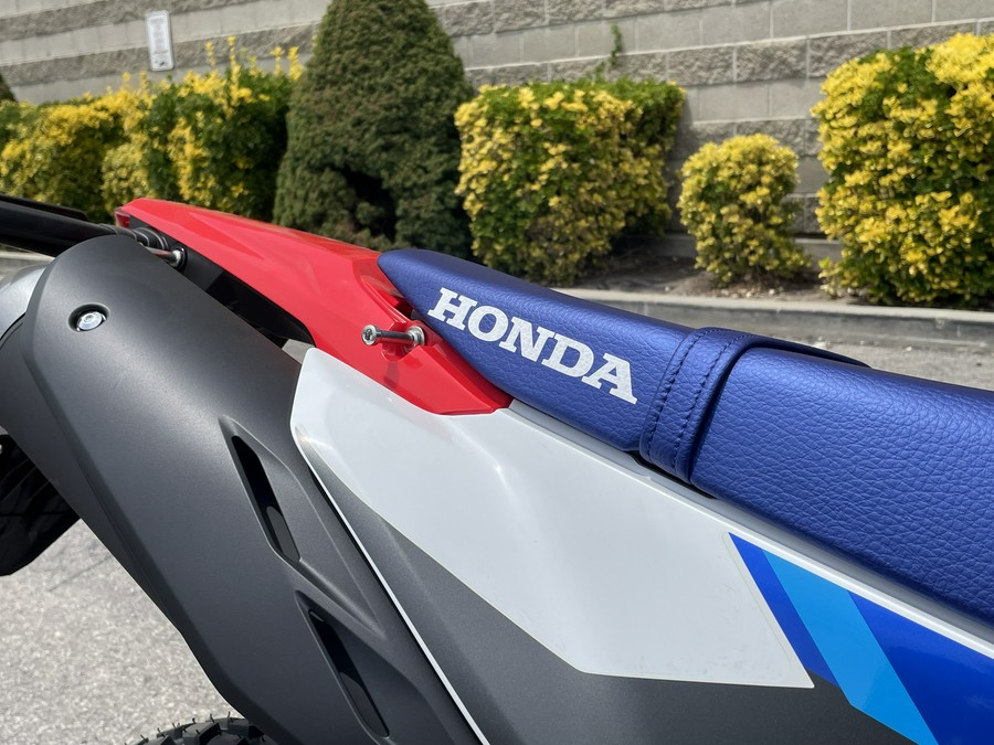 2025 Honda CRF300L Rally ABS