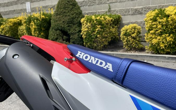 2025 Honda CRF300L Rally