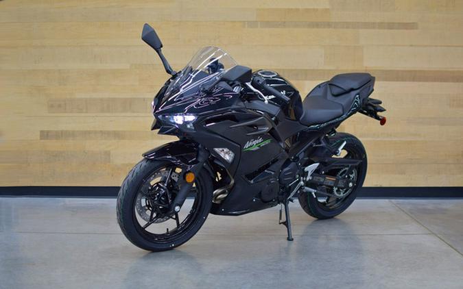 2024 Kawasaki Ninja 500