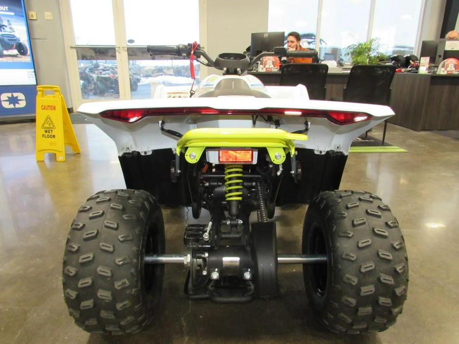 2024 CFMOTO CFORCE EV110 CF15DAY10