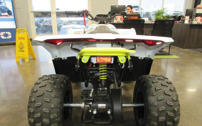 2024 CFMOTO CFORCE EV110 CF15DAY10