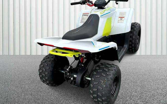 2024 CFMOTO CFORCE EV110 CF15DAY10