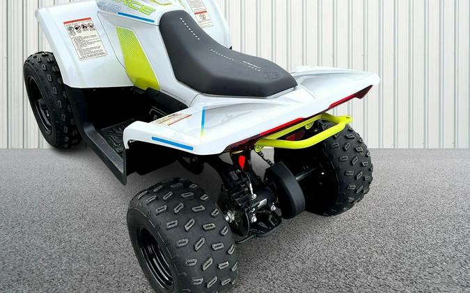 2024 CFMOTO CFORCE EV110 CF15DAY10