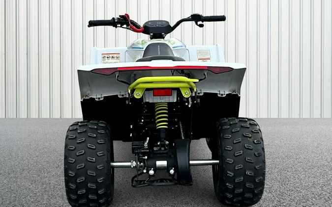 2024 CFMOTO CFORCE EV110 CF15DAY10