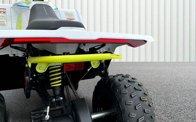 2024 CFMOTO CFORCE EV110 CF15DAY10