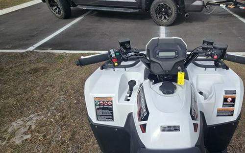 2025 Kawasaki Brute Force 450 4x4