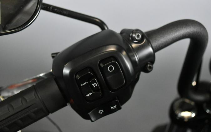 2025 Harley-Davidson Street Bob