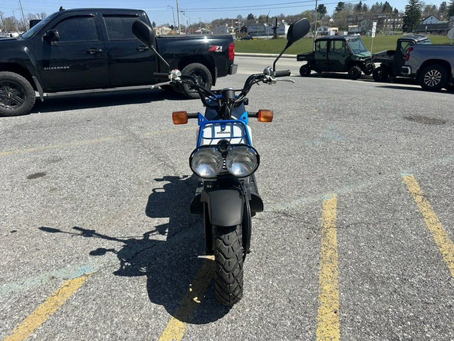 2022 Honda Ruckus