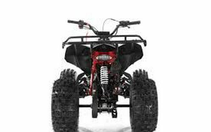 2024 Vitacci Falcon X-125