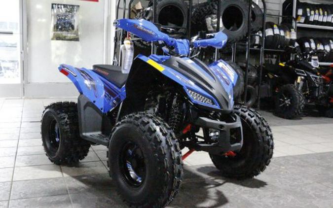 2026 Denago Powersports Trailhawk 10FI