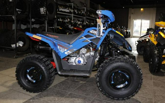 2026 Denago Powersports Trailhawk 10FI