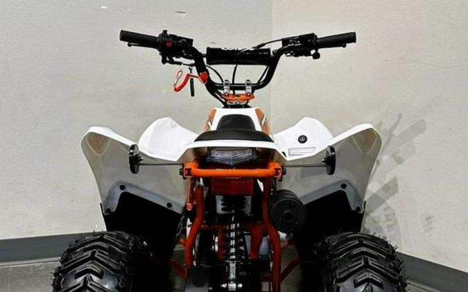 2025 Kayo Fox / Storm 70