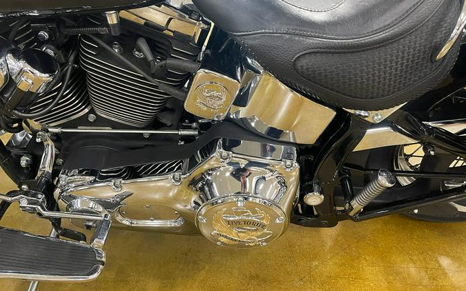 2005 Harley-Davidson FLSTN/FLSTNI Softail® Deluxe