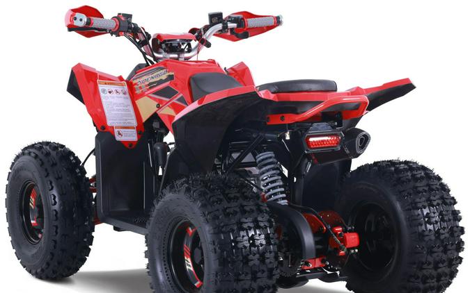 2026 Denago Powersports Trailhawk 10FI