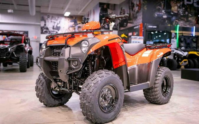 2024 Kawasaki Brute Force® 300