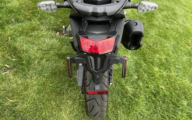 2025 Triumph Tiger 900 Rally Pro