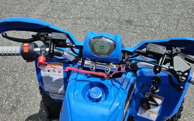 2026 Denago Powersports Trailhawk 10FI