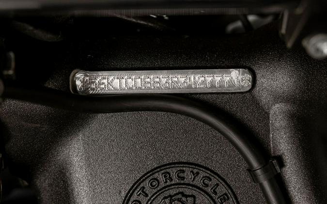 2024 Indian Chieftain Dark Horse