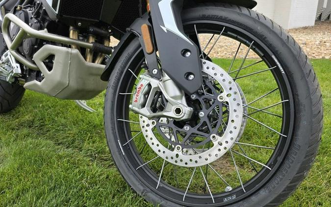 2025 Triumph Tiger 900 Rally Pro