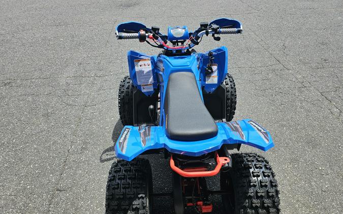 2026 Denago Powersports Trailhawk 10FI