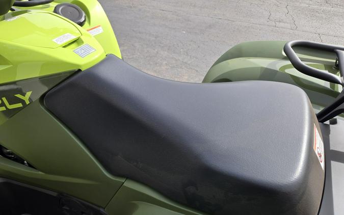 2026 YAMAHA GRIZZLY EPS