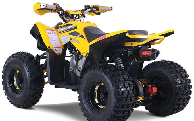 2026 Denago Powersports Trailhawk 10FI