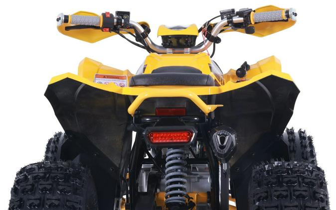 2026 Denago Powersports Trailhawk 10FI