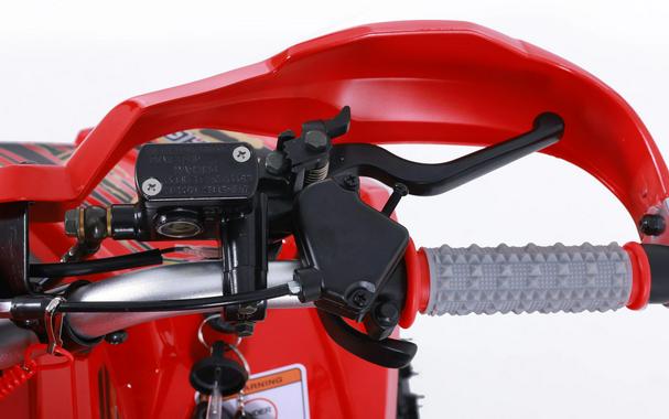 2026 Denago Powersports Trailhawk 10FI